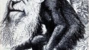 Darwin_monkey