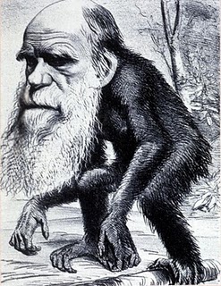 Darwin_monkey