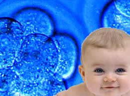 Embryo_Result_is_a_baby