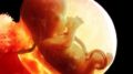16_Week_Baby