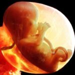 16_Week_Baby
