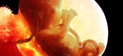 16_Week_Baby