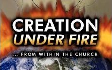 Creation Under Fire by Robert E Franzen