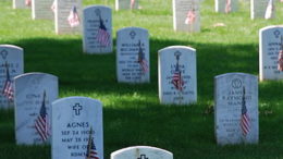 Graves at Arlington on Memorial Day