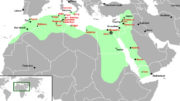 Fatamid Dynasty 600