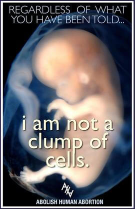 i am not a clump of cells