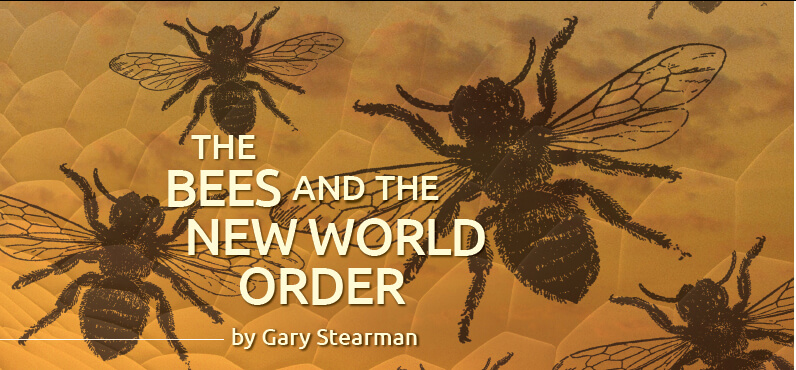 bees new world order