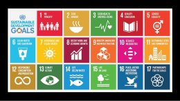 17 Goals Great Reset Agenda 2030