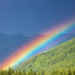over the rainbow