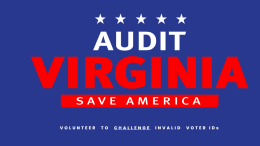 audit virginia