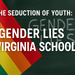 LGBTQ Virginia schools