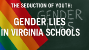 LGBTQ Virginia schools