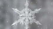 Jewels of Winter Snow flake