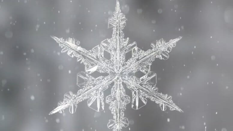 Jewels of Winter Snow flake