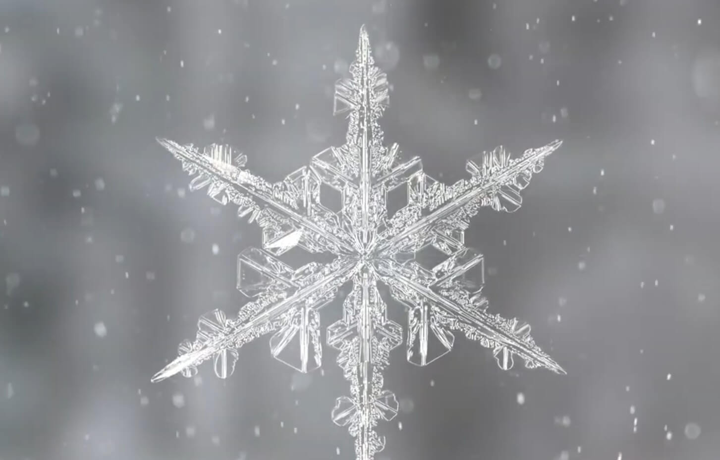 The Jewels of Winter: What Every Snowflake Reveals About a Master Designer