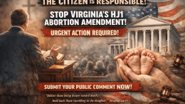 HJ1 Abortion amendment