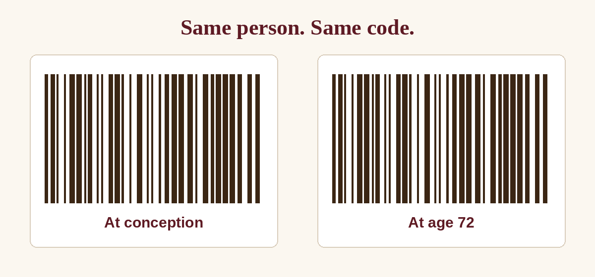 Two identical DNA bar codes, one labeled At conception and one labeled At age 72.